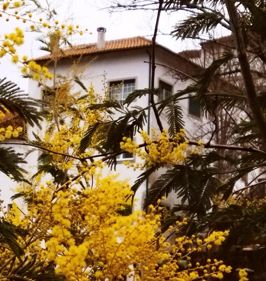 Casa Do Rio Hotel Termas de Sao Pedro do Sul Buitenkant foto